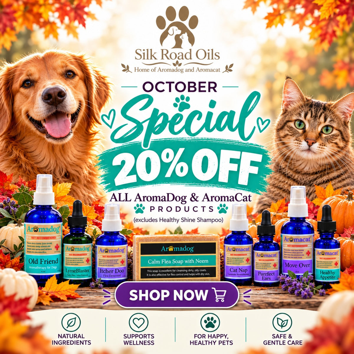 Thoughtful care for your companion